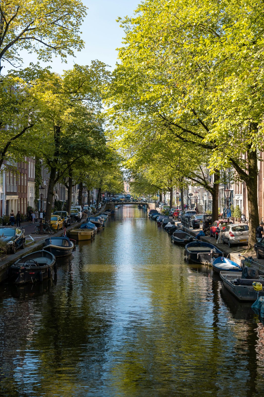 Amsterdamse gracht met bomen en boten