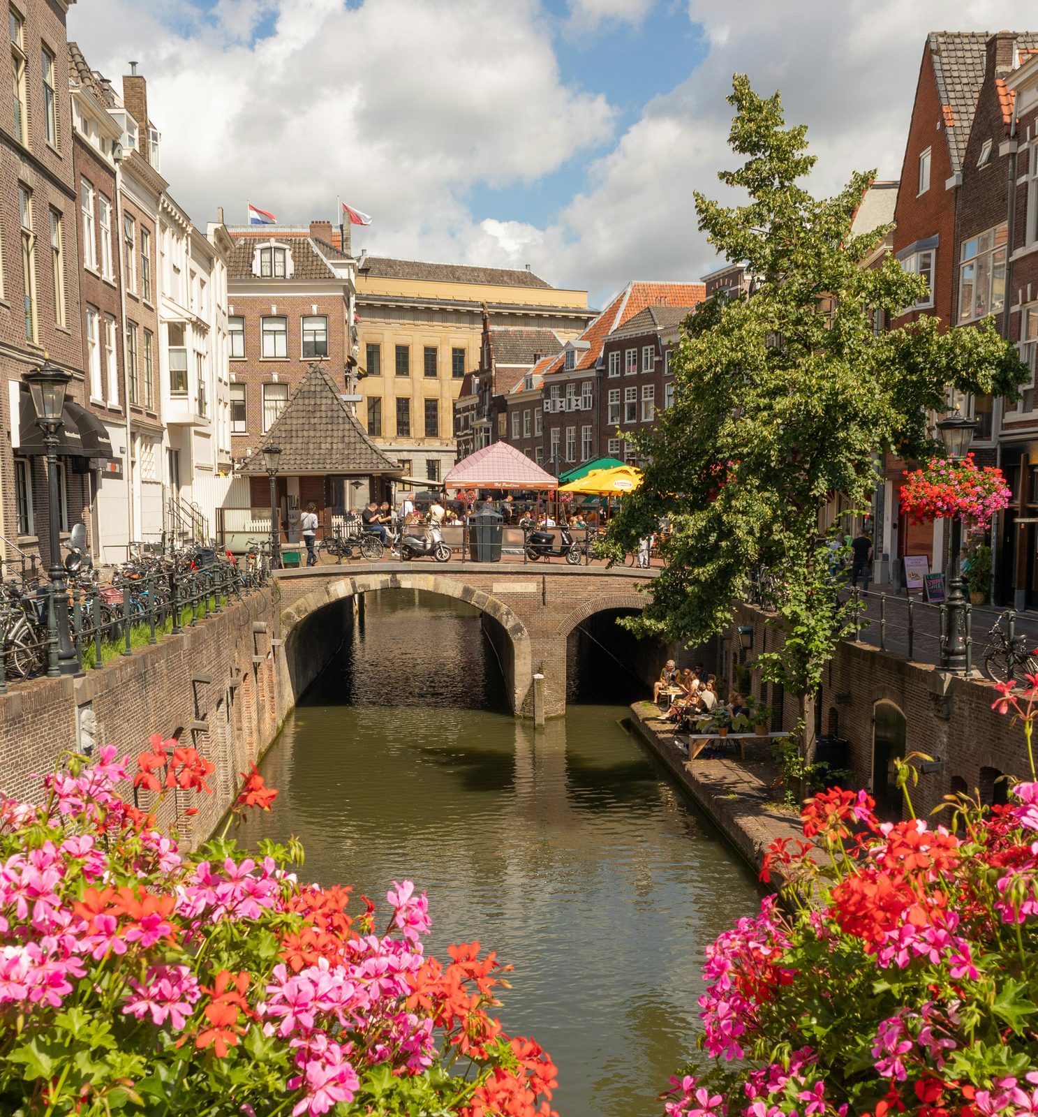 Utrechtse gracht met rode en roze bloemen